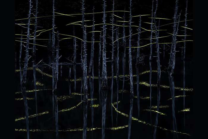 اعلام برندگان مسابقه عکاسی منظره 2024