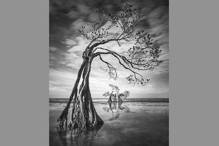 اعلام برندگان مسابقه عکاسی منظره 2024