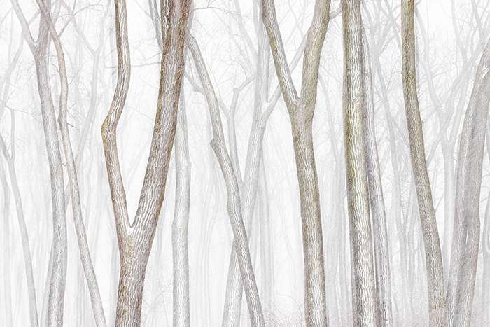 اعلام برندگان مسابقه عکاسی منظره 2024