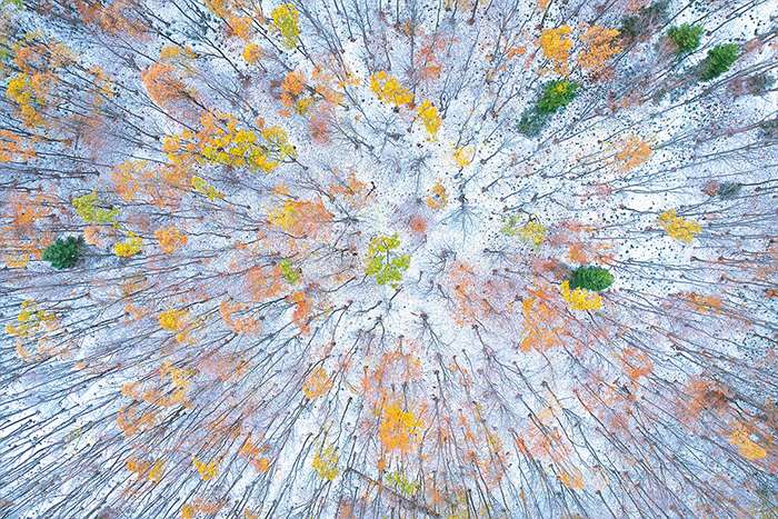 اعلام برندگان مسابقه عکاسی منظره 2024