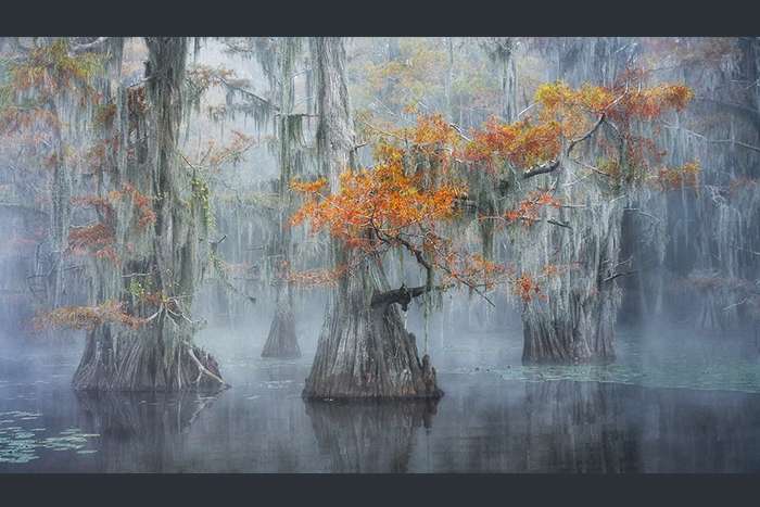 اعلام برندگان مسابقه عکاسی منظره 2024