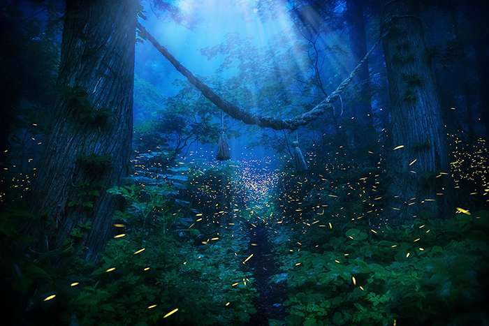 کرمهای شب تاب در جنگل های ژاپن