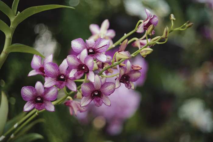 بررسی دوربین عکاسی Leica SL3-S