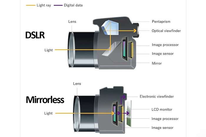 آینه‌دار یا بدون آینه: کدام دوربین برای نیازهای شما بهتر است؟