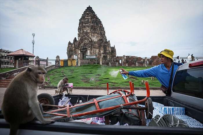 برگزیدگان مسابقه عکاسی مطبوعاتی جهان 2025