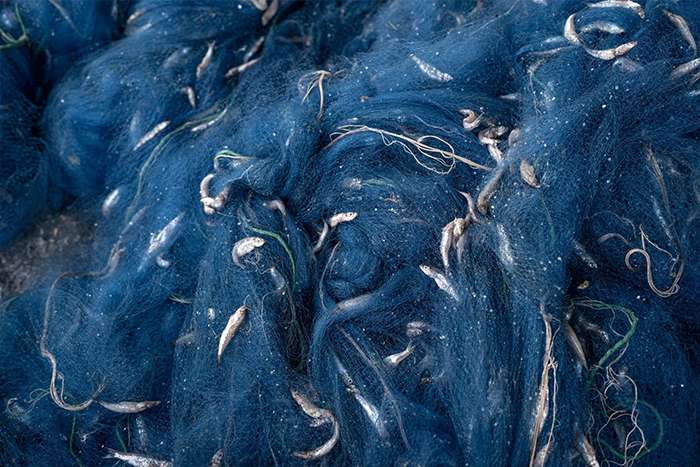 برگزیدگان مسابقه عکاسی مطبوعاتی جهان 2025