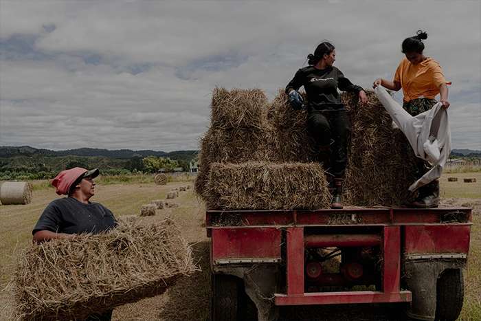 برگزیدگان مسابقه عکاسی مطبوعاتی جهان 2025