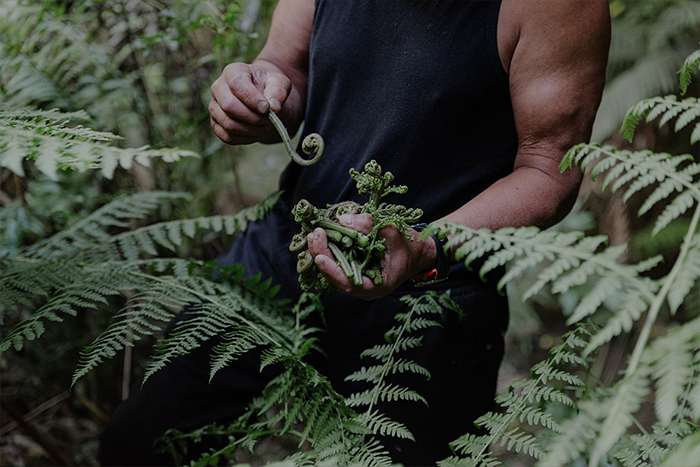 برگزیدگان مسابقه عکاسی مطبوعاتی جهان 2025