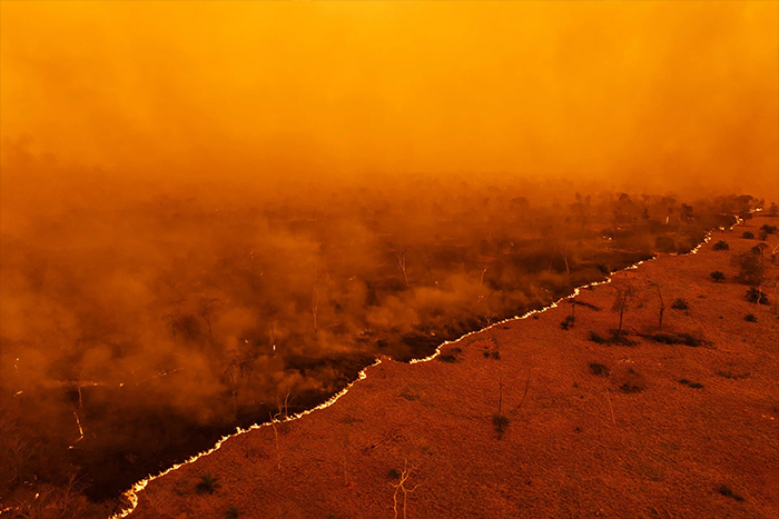 اعلام برندگان«جوایز جهانی عکاسی سونی» 2025