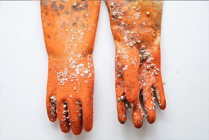 اعلام برندگان«جوایز جهانی عکاسی سونی» 2025