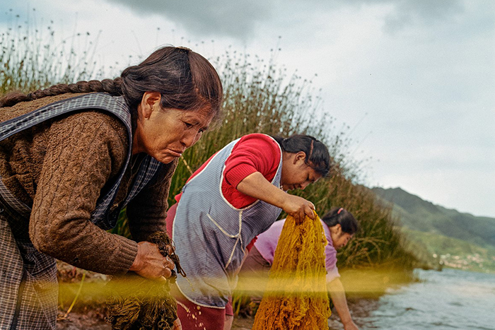 اعلام برندگان«جوایز جهانی عکاسی سونی» 2025