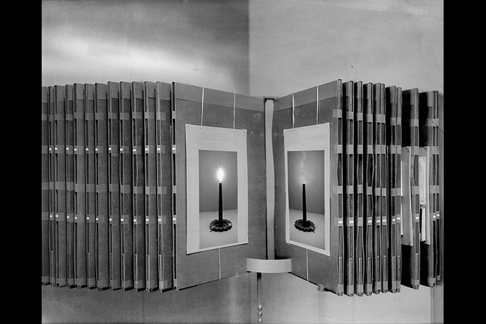 اعلام برندگان«جوایز جهانی عکاسی سونی» 2025