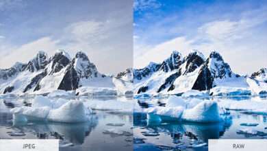 فرمت JPEG و RAW در عکاسی ،کدام یک بهتر است؟