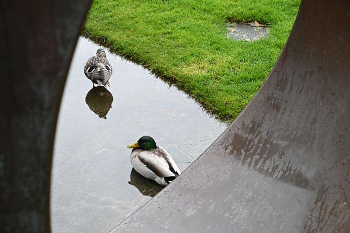 بررسی دوربین نیکون Z5 II