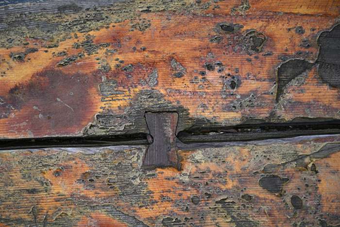 بررسی دوربین نیکون Z5 II