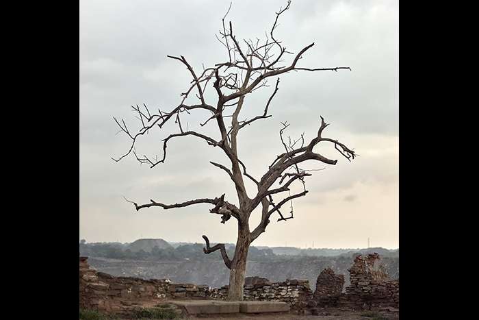 گفتگو با سباستین ساردی، عکاس مستند