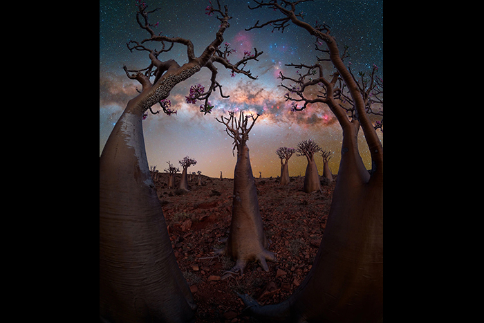 اعلام برندگان مسابقه عکاسی کهکشان راه شیری 2025