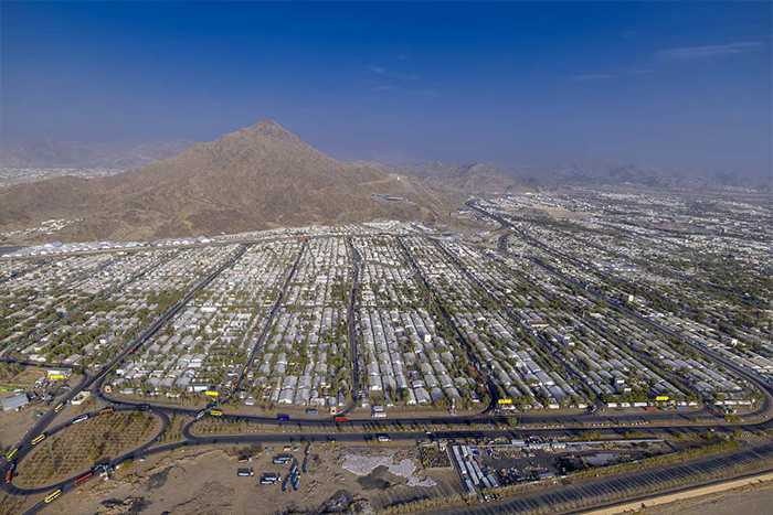 طواف دل‌ها در سرزمین وحی