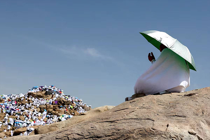 طواف دل‌ها در سرزمین وحی