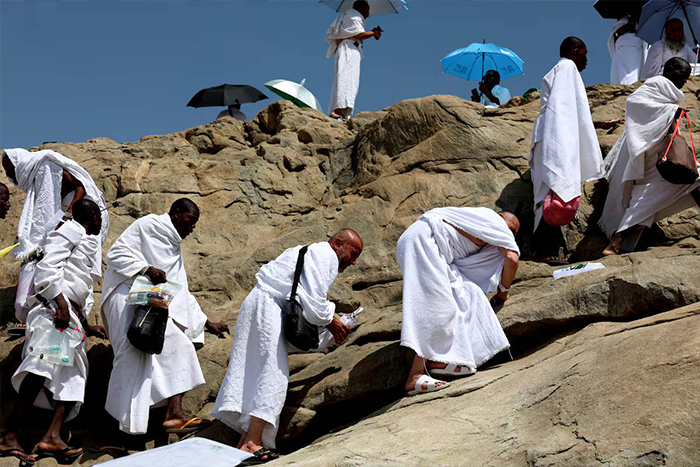 طواف دل‌ها در سرزمین وحی