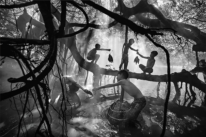 منتخبی از تصاویر مسابقه عکاسیFlow سال 2025