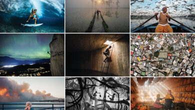 منتخبی از تصاویر مسابقه عکاسیFlow سال ۲۰۲۵