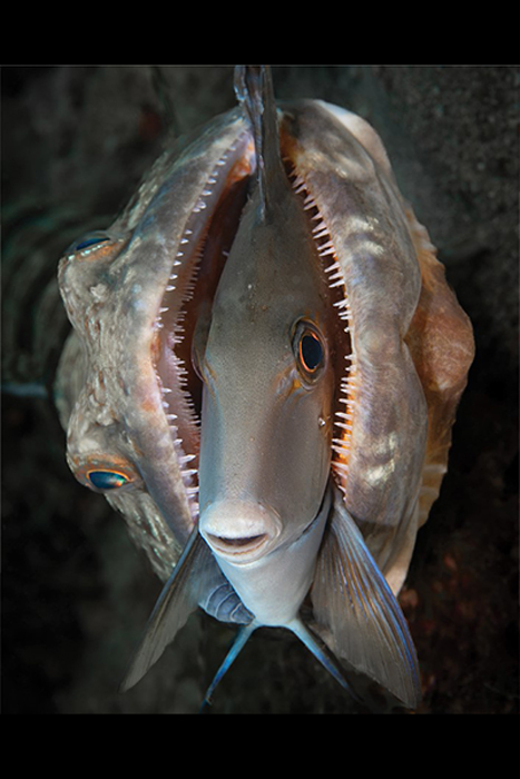 منتخبی از تصاویر مسابقه عکاسیFlow سال 2025