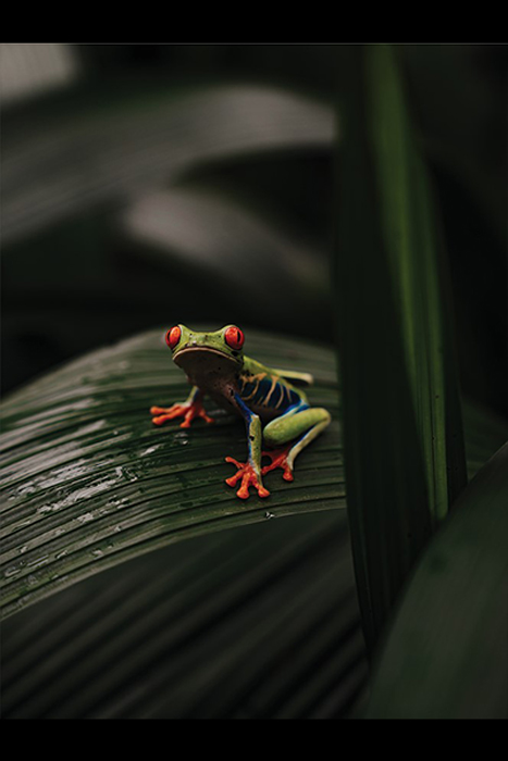 منتخبی از تصاویر مسابقه عکاسیFlow سال 2025