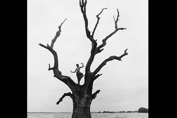 مجموعه عکس «آوازهای رودخانه»