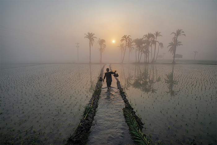 منتخبی از تصاویر مسابقه عکاسی Flow 2025