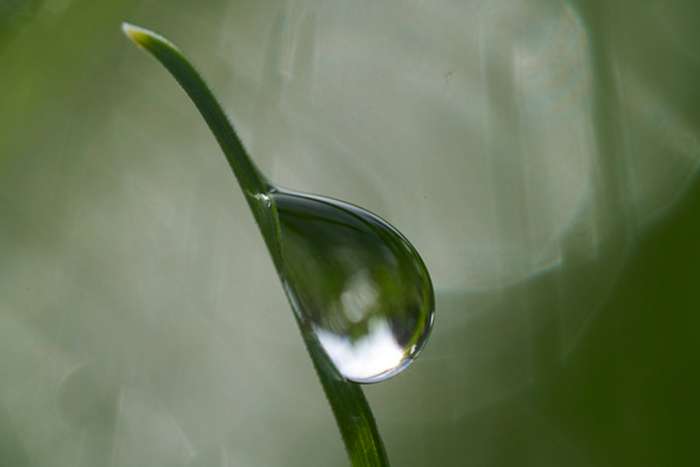 انقلاب سونی در عکاسی ماکرو با لنز FE 100mm F2.8 GM OSS