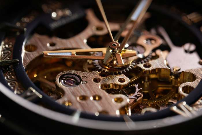 انقلاب سونی در عکاسی ماکرو با لنز FE 100mm F2.8 GM OSS