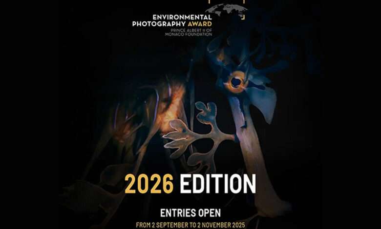 انتشار فراخوان مسابقه «جایزه عکاسی محیط زیست 2026»