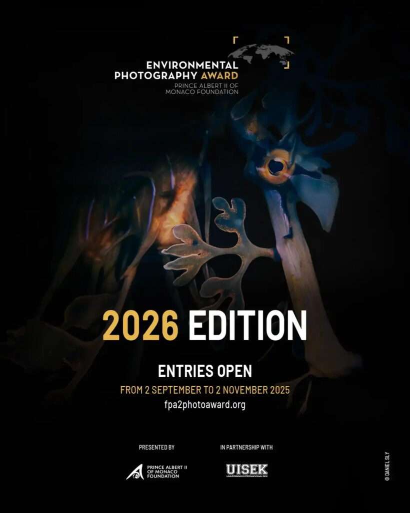 انتشار فراخوان مسابقه «جایزه عکاسی محیط زیست ۲۰۲۶»