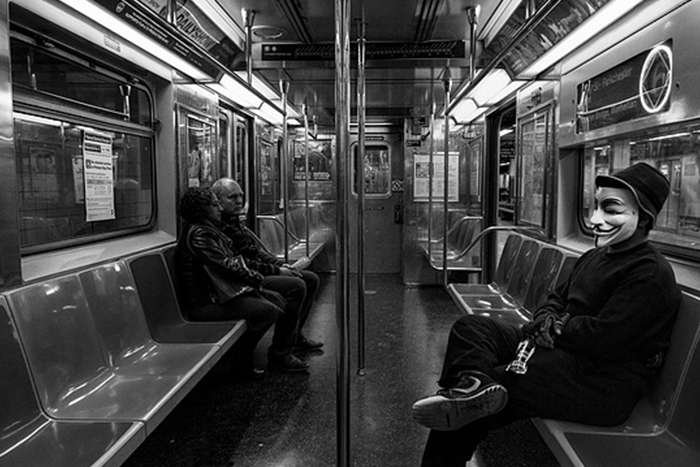 مجموع عکس " زندگی زیرزمینی "