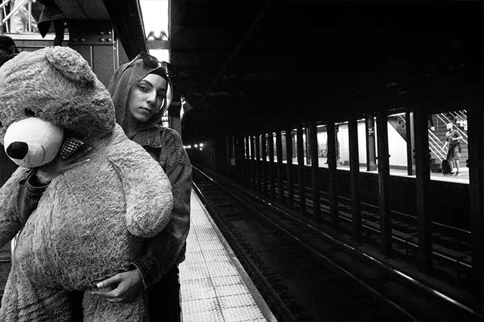 مجموع عکس " زندگی زیرزمینی "