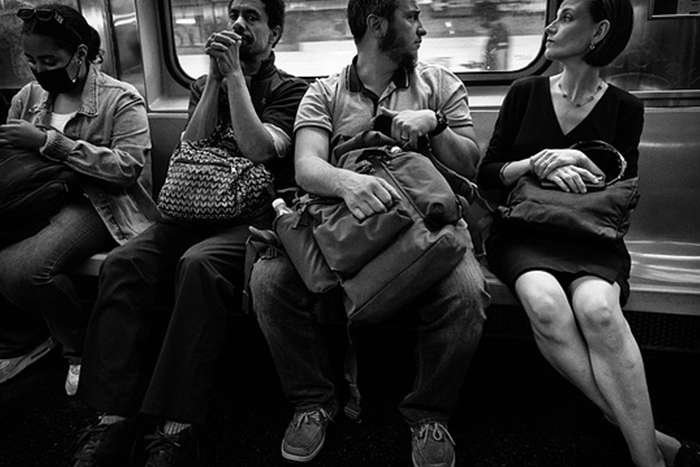 مجموع عکس " زندگی زیرزمینی "