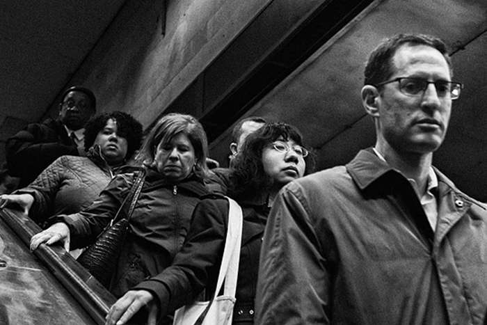 مجموع عکس " زندگی زیرزمینی "