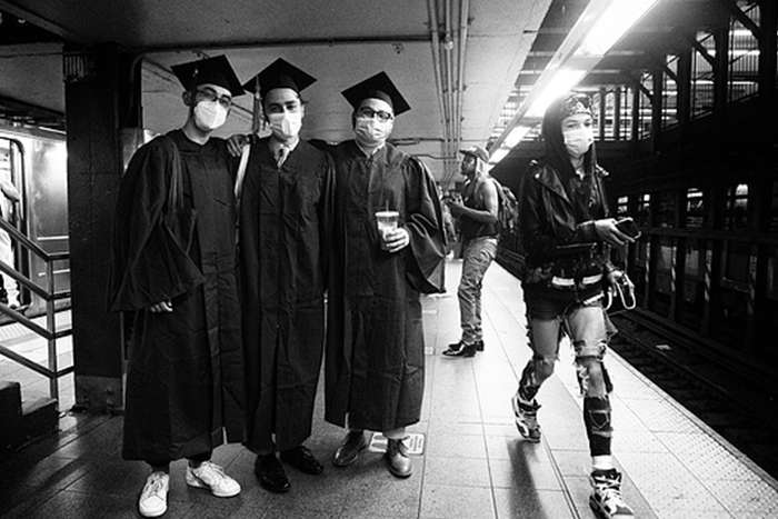 مجموع عکس " زندگی زیرزمینی "