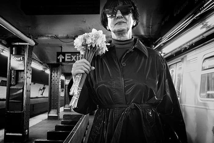 مجموع عکس " زندگی زیرزمینی "