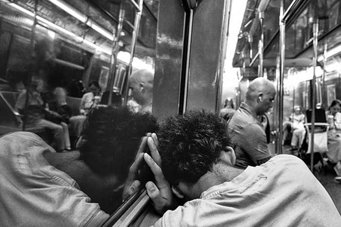 مجموع عکس " زندگی زیرزمینی "