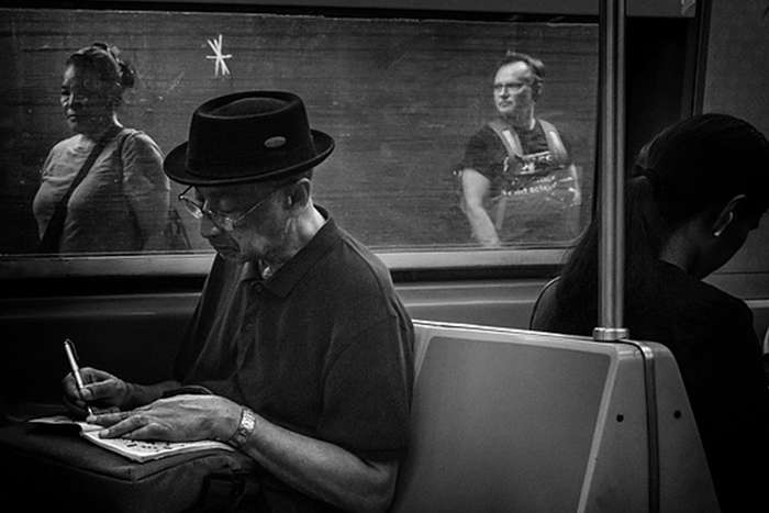 مجموع عکس " زندگی زیرزمینی "