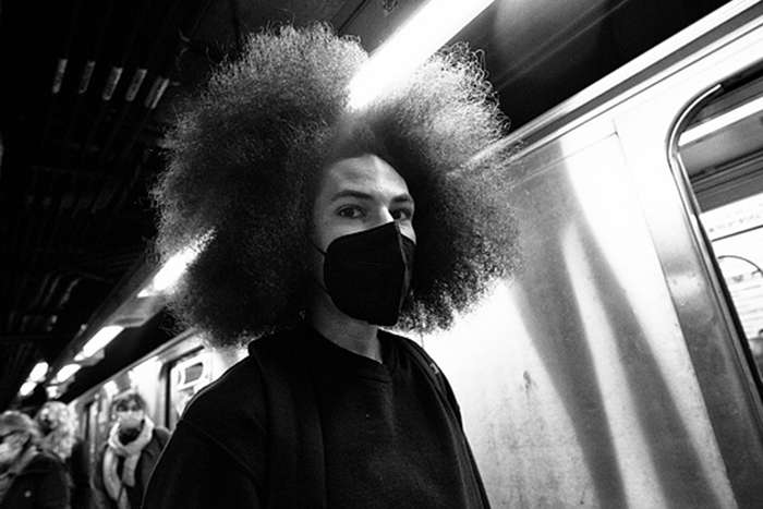 مجموع عکس " زندگی زیرزمینی "