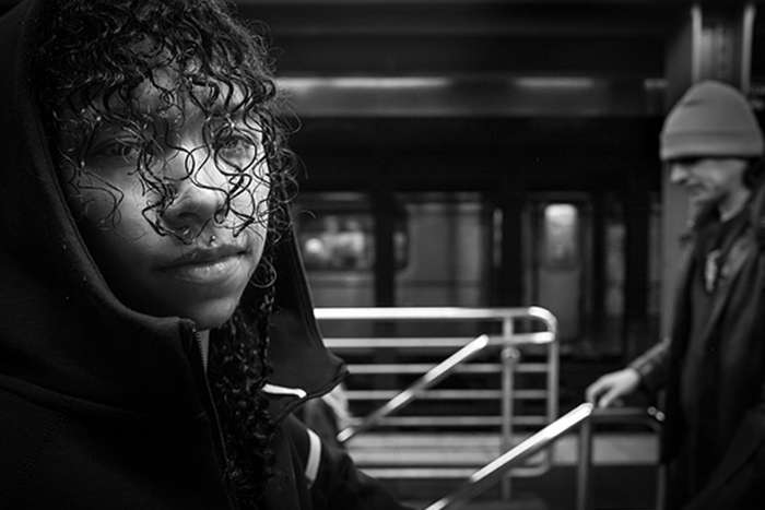 مجموع عکس " زندگی زیرزمینی "