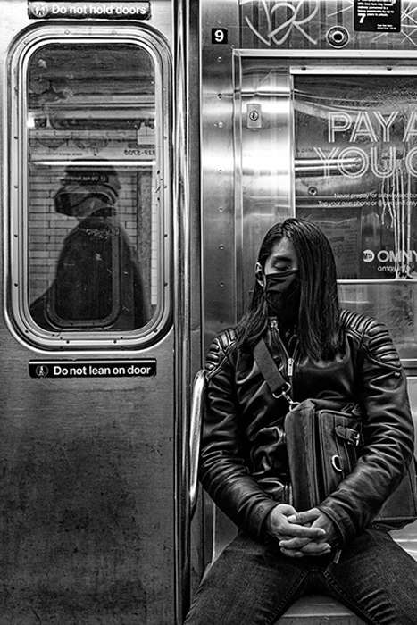 مجموع عکس " زندگی زیرزمینی "