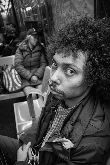 مجموع عکس " زندگی زیرزمینی "