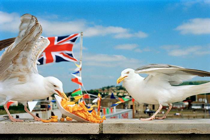 درگذشت مارتین پار، عکاس مشهور بریتانیایی