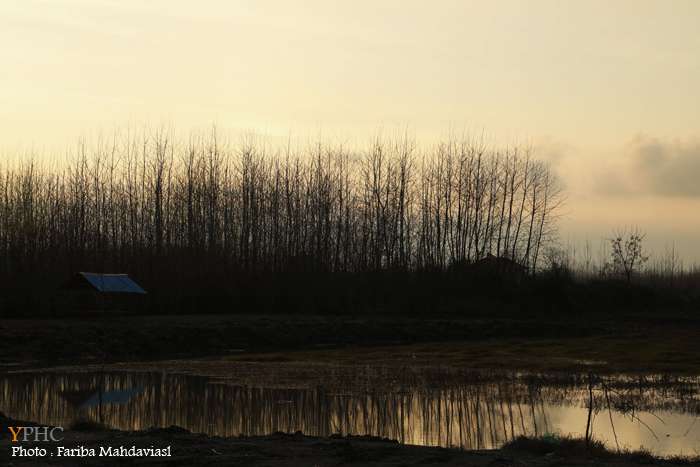 گزارش تصویری _ تالاب انزلی