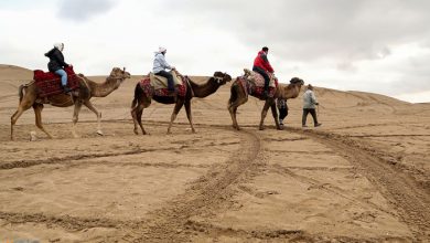 گزارش تصویری _ کویر ابوزیدآباد