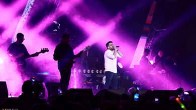 کنسرت حامد همایون در نمایشگاه بین المللی تهران